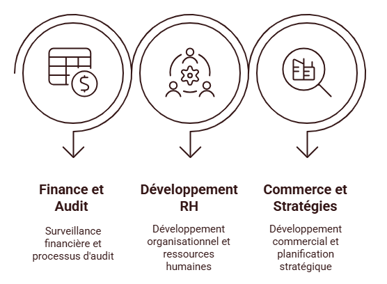 trois pôles sciences de gestion
